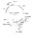 Fig. 09 - Rationally designed, synthetic antibody libraries and uses therefor