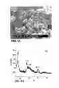 Fig. 02 - Process for production of nanoparticles of solid lubricant and lubricant dispersions stable in oil and in water