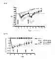 Fig. 09 - LONG DURATION DUAL HORMONE CONJUGATES