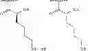 Fig. 72 - METHODS AND COMPOSITIONS OF REDUCING AND PREVENTING BACTERIAL GROWTH AND THE FORMATION OF BIOFILM ON A SURFACE UTILIZING CHITOSAN-DERIVATIVE COMPOUNDS