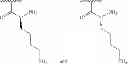 Fig. 85 - METHODS AND COMPOSITIONS OF REDUCING AND PREVENTING BACTERIAL GROWTH AND THE FORMATION OF BIOFILM ON A SURFACE UTILIZING CHITOSAN-DERIVATIVE COMPOUNDS