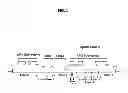 Fig. 02 - NOVEL ESTROGEN RECEPTOR MUTATIONS AND USES THEREOF