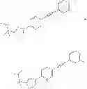 Fig. 482 - Metabotrophic glutamate receptor 5 modulators and methods of use thereof