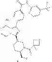 Fig. 596 - BTK INHIBITORS