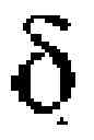 Fig. 02 - Bicyclic antibiotics