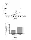 Fig. 06 - Methods for Determining the Oncogenic Condition of Cell, Uses Thereof, and Methods for Treating Cancer