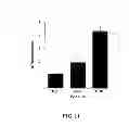 Fig. 08 - Methods for Determining the Oncogenic Condition of Cell, Uses Thereof, and Methods for Treating Cancer