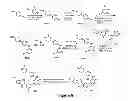 Fig. 06 - Alkylated piperazine compounds