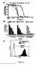 Fig. 07 - Itraconazole analogs and use thereof