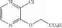 Fig. 43 - Nitrogen-containing six-membered aromatic ring derivatives and pharmaceutical products containing the same