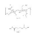 Fig. 02 - Hyaluronic acid based copolymers