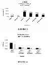 Fig. 09 - DIFFERENTIATION MODULATING AGENTS AND USES THEREFOR