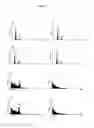 Fig. 08 - Bacterially-derived, intact minicells that encompass plasmid-free functional nucleic acid for in vivo delivery to mammalian cells