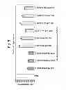 Fig. 09 - METHOD FOR IDENTIFYING MODULATORS OF HCV TRANSLATION OR REPLICATION INVOLVING THE NS5B POLYPEPTIDE AND A PSEUDOKNOT