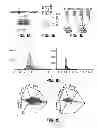 Fig. 02 - Compounds that Modulate Store Operated Calcium Channels