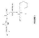 Fig. 02 - COMPOUND, COMPOSITION AND USES THEREOF