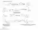 Fig. 22 - SARMs and method of use thereof