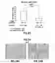 Fig. 35 - Method of Diagnosis or Prognosis of a Neoplasm Comprising Determining the Level of Expression of a Protein in Stromal Cells Adjacent to the Neoplasm