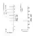 Fig. 06 - NOVEL RODENT CONTROL AGENTS AND USES THEREOF