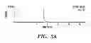 Fig. 07 - NOVEL RODENT CONTROL AGENTS AND USES THEREOF
