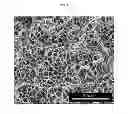 Fig. 02 - Continuous process for extruding nanoporous foam