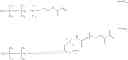 Fig. 22 - Material for contact lenses, method for manufacturing contact lenses and contact lenses obtained thereby