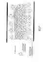 Fig. 07 - Method for modifying surface properties with nanostructured chemicals