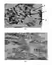 Fig. 02 - Triblock copolymer, method for its formation, and compatibilized compositions comprising it