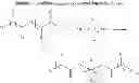 Fig. 22 - Polymers with hydroxyl acid blocks