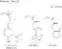 Fig. 31 - Polymerizable fluoromonomer, fluoropolymer, resist material, and method of pattern formation