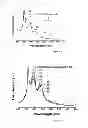 Fig. 03 - Methods of producing polyanthracene and uses thereof