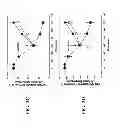 Fig. 05 - Activation of sodium potassium ATPase