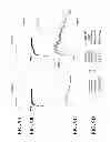 Fig. 16 - Activation of sodium potassium ATPase