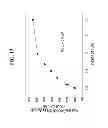 Fig. 20 - Activation of sodium potassium ATPase