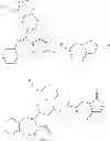 Fig. 33 - Haptens of quetiapine