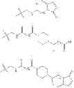 Fig. 35 - Haptens of quetiapine