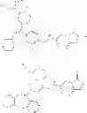 Fig. 45 - Haptens of quetiapine