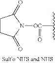 Fig. 63 - Haptens of quetiapine