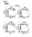 Fig. 07 - Interleukin-6 receptor binding polypeptides