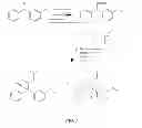 Fig. 02 - Compositions and methods for detection of methadone metabolite