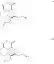 Fig. 09 - Intermediates for the preparation of analogs of halichondrin B