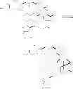 Fig. 149 - Intermediates for the preparation of analogs of halichondrin B