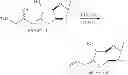 Fig. 52 - Intermediates for the preparation of analogs of halichondrin B