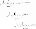 Fig. 69 - Intermediates for the preparation of analogs of halichondrin B