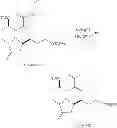 Fig. 77 - Intermediates for the preparation of analogs of halichondrin B