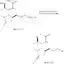Fig. 79 - Intermediates for the preparation of analogs of halichondrin B