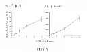 Fig. 06 - RADIOLABELED NUCLEOSIDE ANALOGUE, AND PREPARATION METHOD AND USE THEREOF