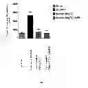 Fig. 07 - Prodrugs of NH-acidic compounds