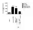 Fig. 08 - Prodrugs of NH-acidic compounds