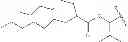 Fig. 117 - Prodrugs of NH-acidic compounds